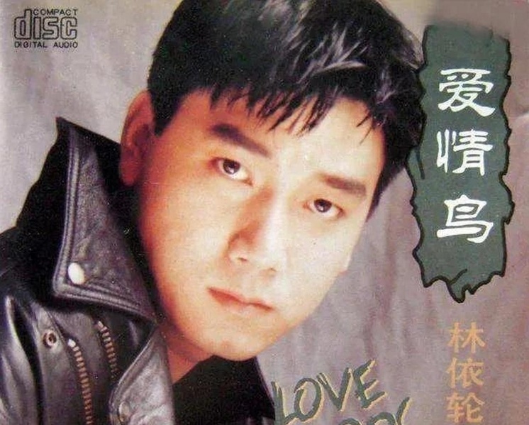 林依轮珍珠婚晒夫妻合照,泳池相拥爱意浓,顾家形象再圈粉!