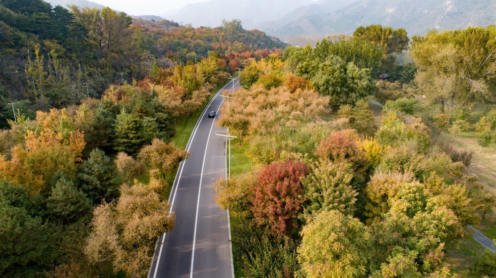 8% 北京获"国家森林城市"称号