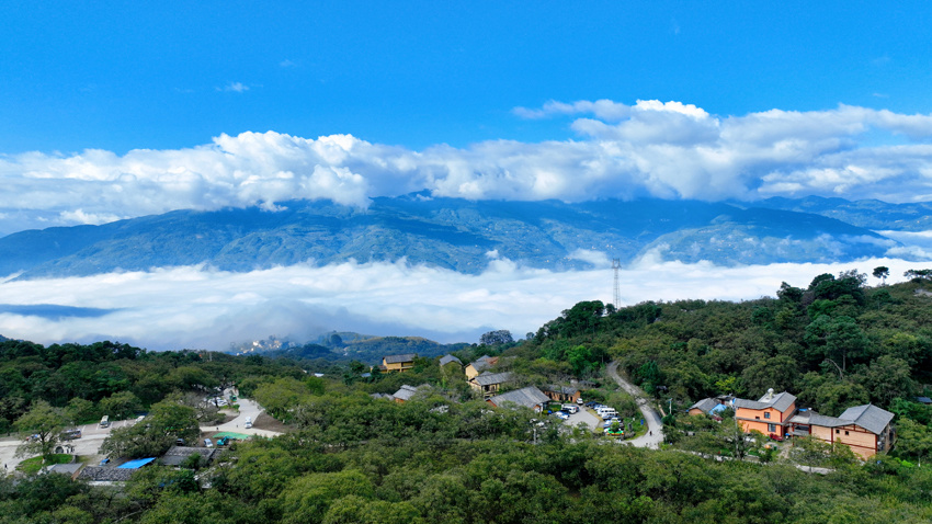 打核桃庆丰收 2023年云南漾濞核桃节开幕_腾讯新闻