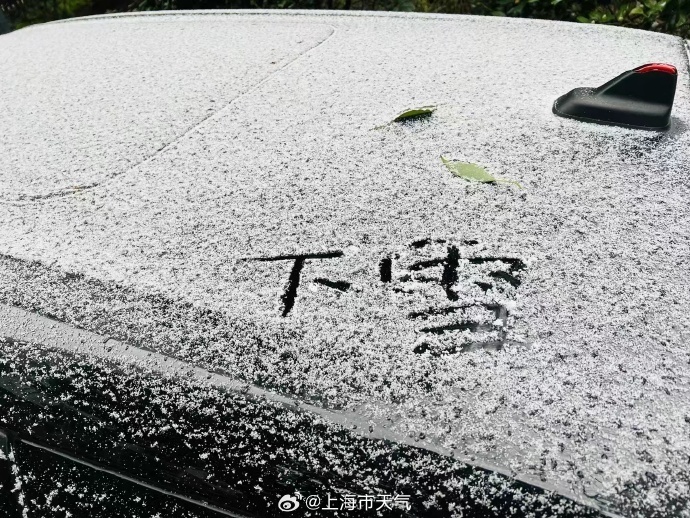 全城零下上海今晨又见飘雪你拍到了吗