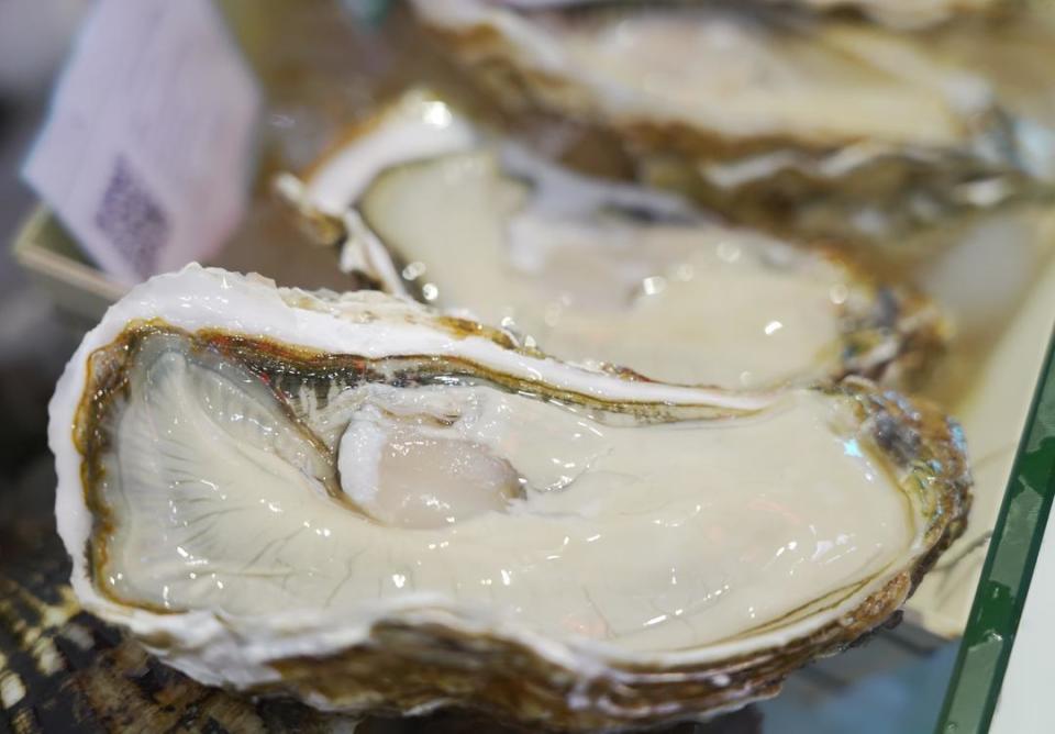 跨越海洋的鲜美,乳山牡蛎在吉隆坡国际展会上大放异彩