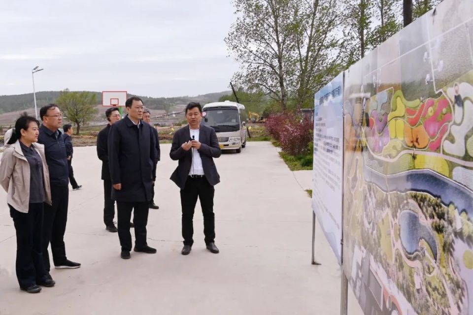 率队巡检全市重点项目建设龙山区,西安区重点产业项目建设加速推进