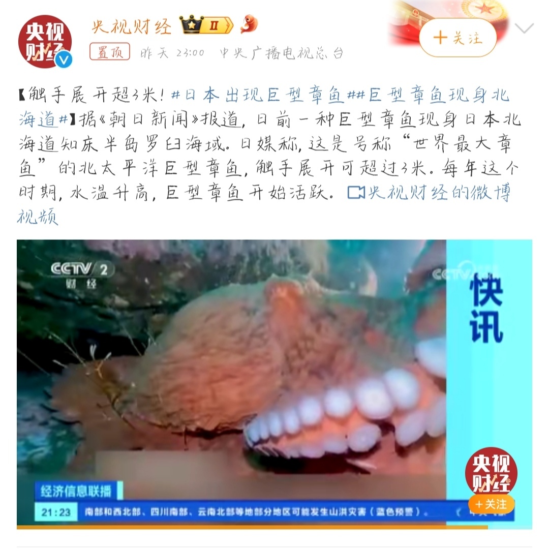 日本出现巨型章鱼,网友调侃"变异了"