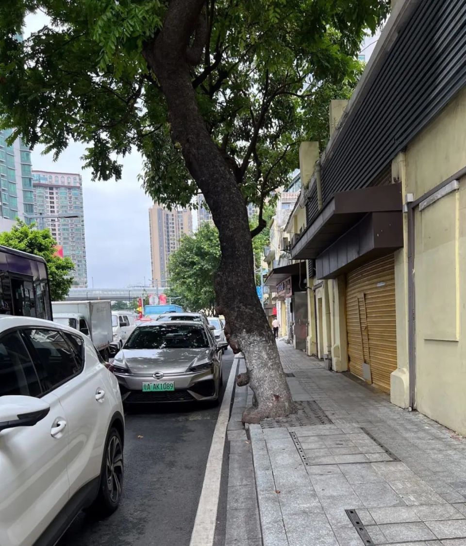 去永庆坊的这条"瓶颈路",畅通啦!