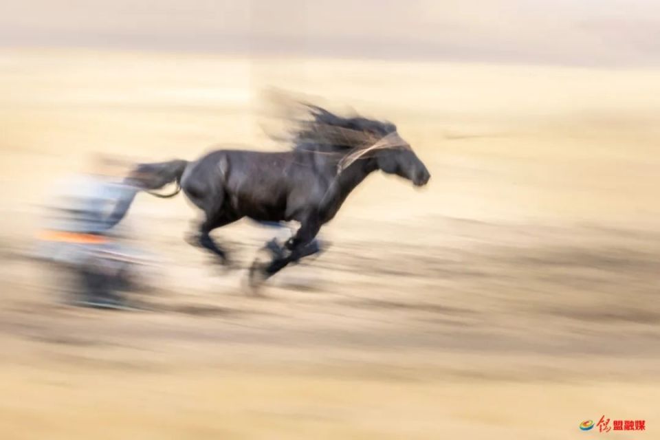 具有浓郁的地域特色是草原牧民驯马的一种手段套马翻身跃马草上飞