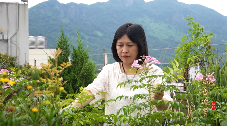 花草还可以这么玩,这位花艺师厉害了!