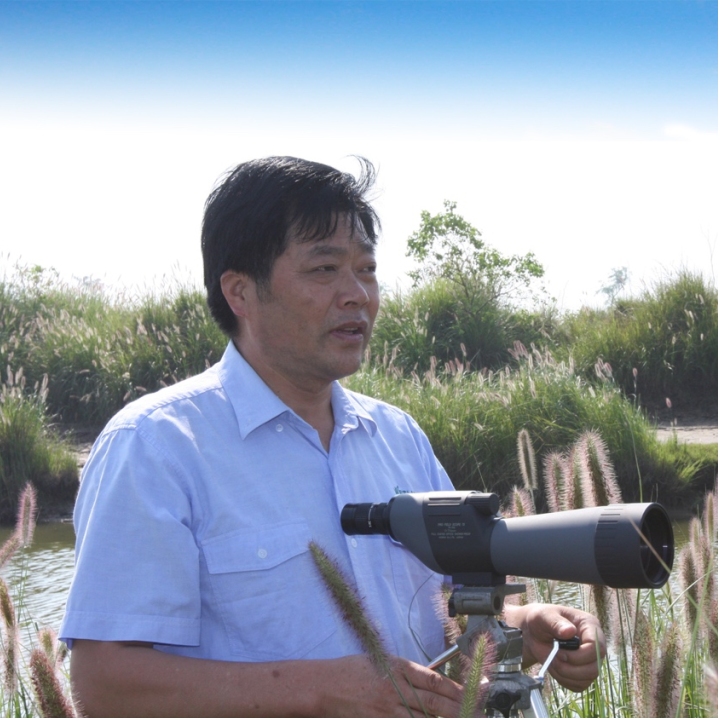 创建湿地学校,点亮老师,光耀未来崇明区融媒体中心 记者陈宇雯主持人