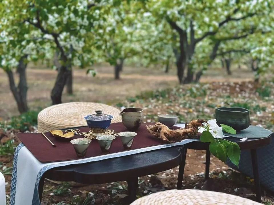 唐山春游季 | 来遵化拥抱自然 春日赏花精品线路推荐