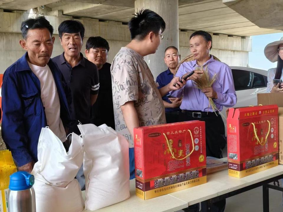 台儿庄区举行黑小麦田间观摩现场会