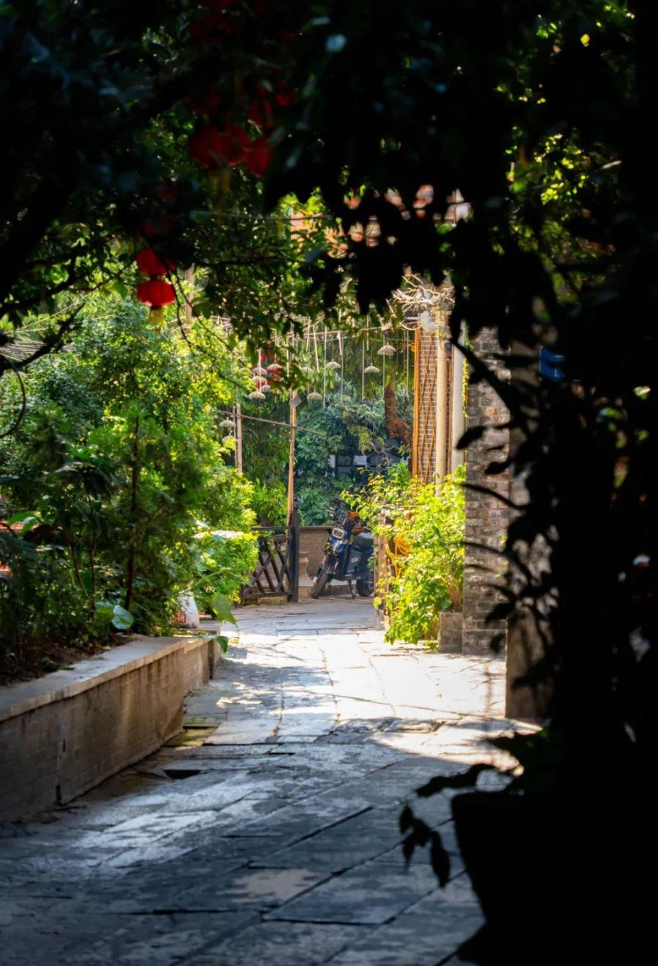 寻梦小洲村，广州“昨日的世界”-腾讯新闻