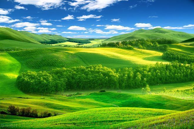 日照程序员_日照程序员工资水平_日照小程序开发工程师