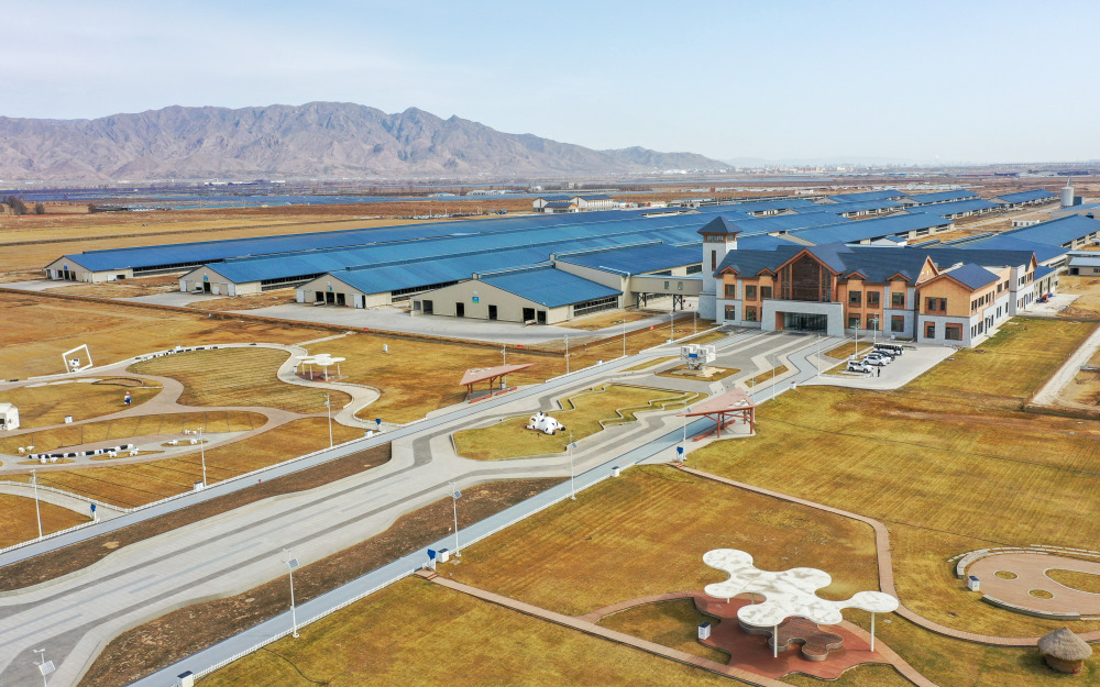 内蒙古土默特左旗:科技创新 助力奶业高质量发展_腾讯新闻