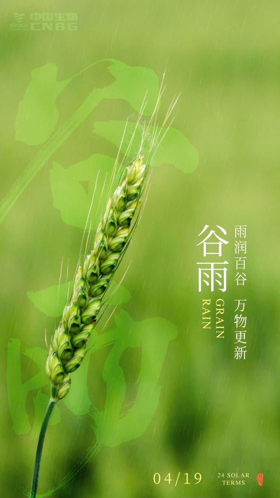 二十四节气之谷雨—雨润百谷,万物更新