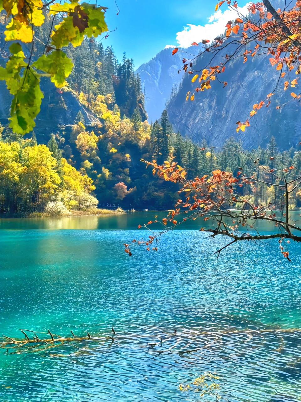 夏日,开启与美好的邂逅攻略之旅!