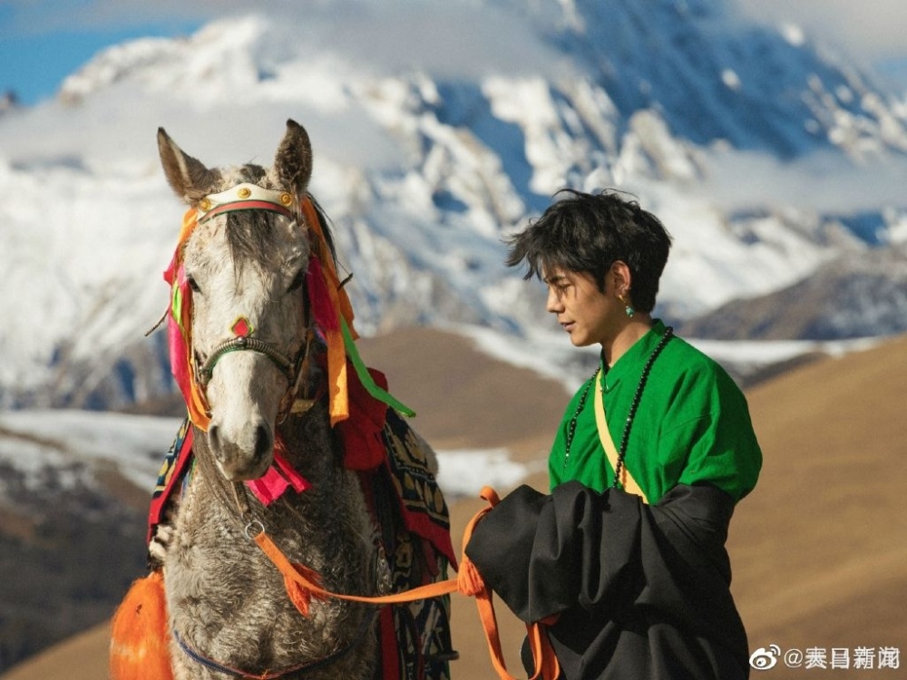 丁真的赛马被申请注册商标