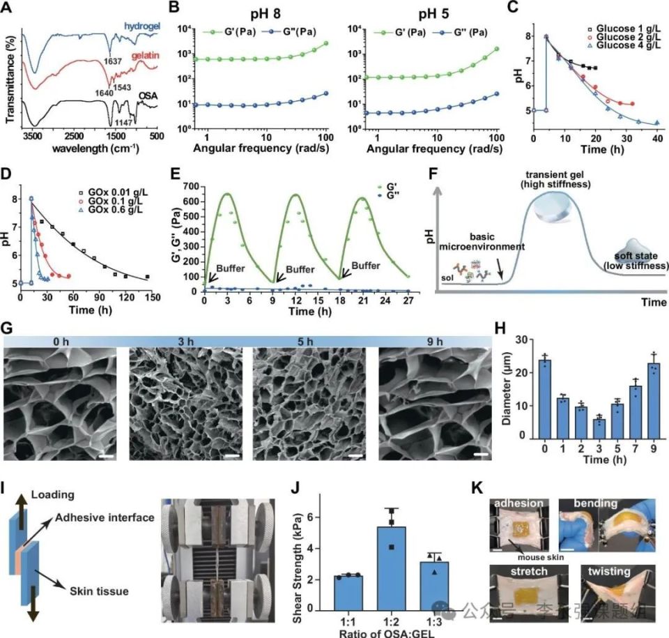 水凝胶伤口敷料怎么用《自然·通讯》微环境反馈调节水凝胶作为活性伤口愈合材料！_https://www.jmylbn.com_新闻资讯_第3张
