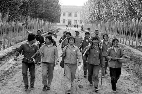 我的新疆军垦农场56年