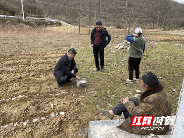 永定区官黎坪街道十里春光无限好纪检干部助农忙