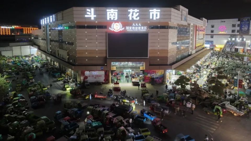 花漾斗南·向美而行 | 璀璨夜经济绽放"亚洲花都"魅力