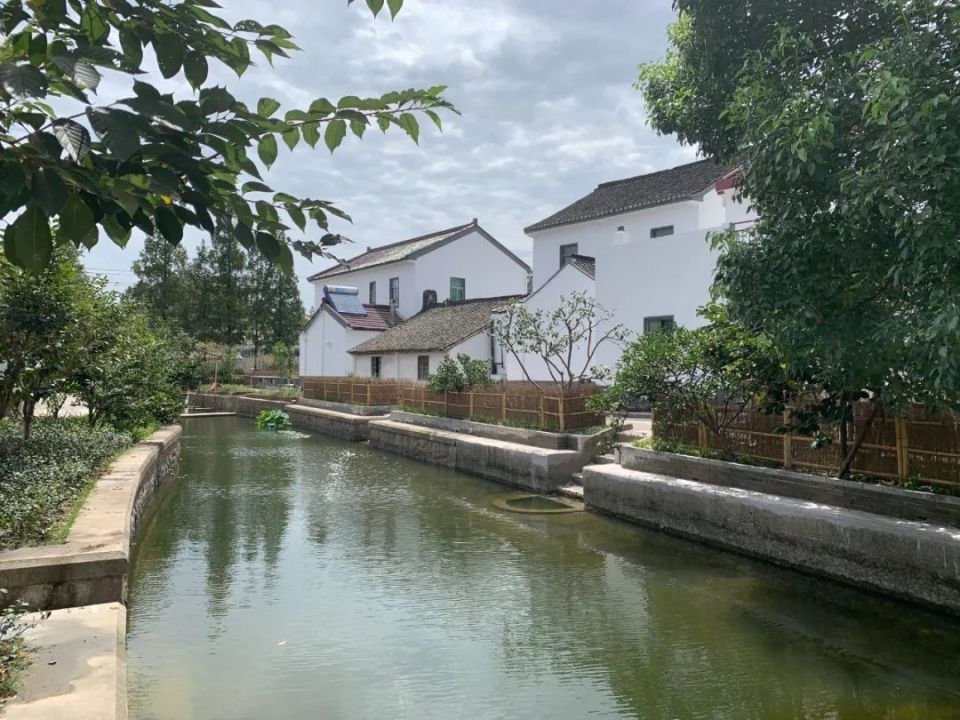 练塘:让绿水清波荡漾起群众幸福生活_腾讯新闻