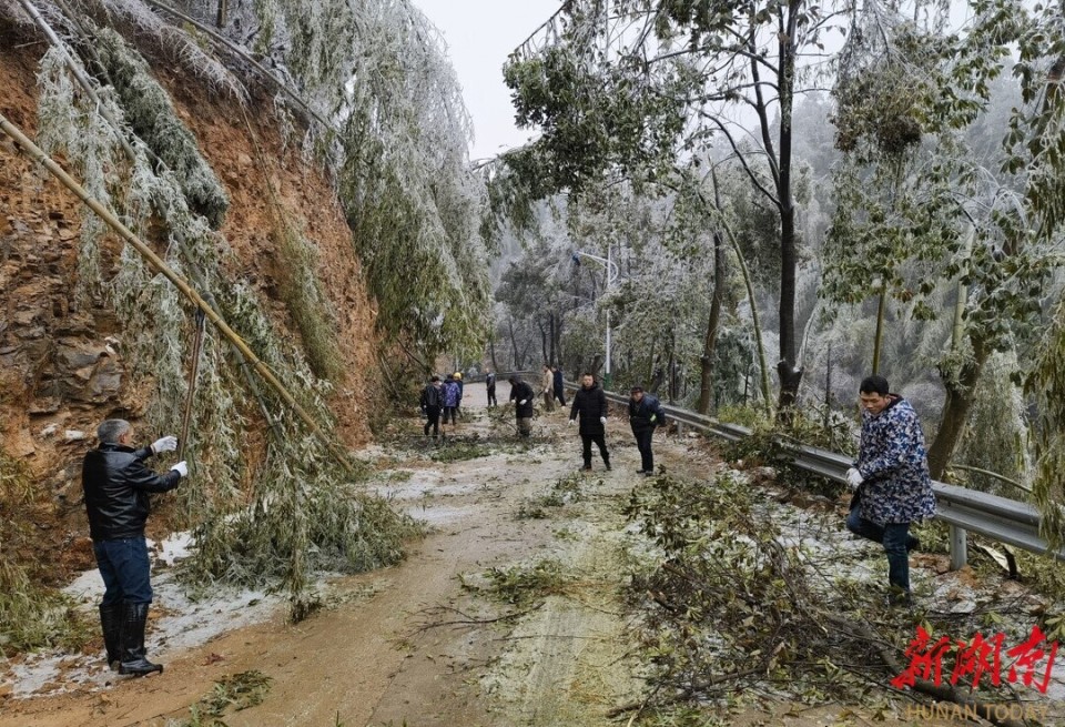衡山县店门镇冻雨压垮树木导致道路中断党员群众齐上阵保障村民平安