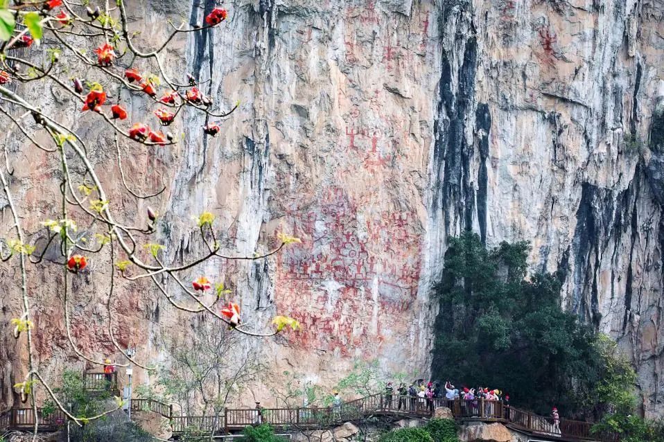 【主流媒体看宁明(293)】新华网:保护花山"小红人"为乡村振兴注入新