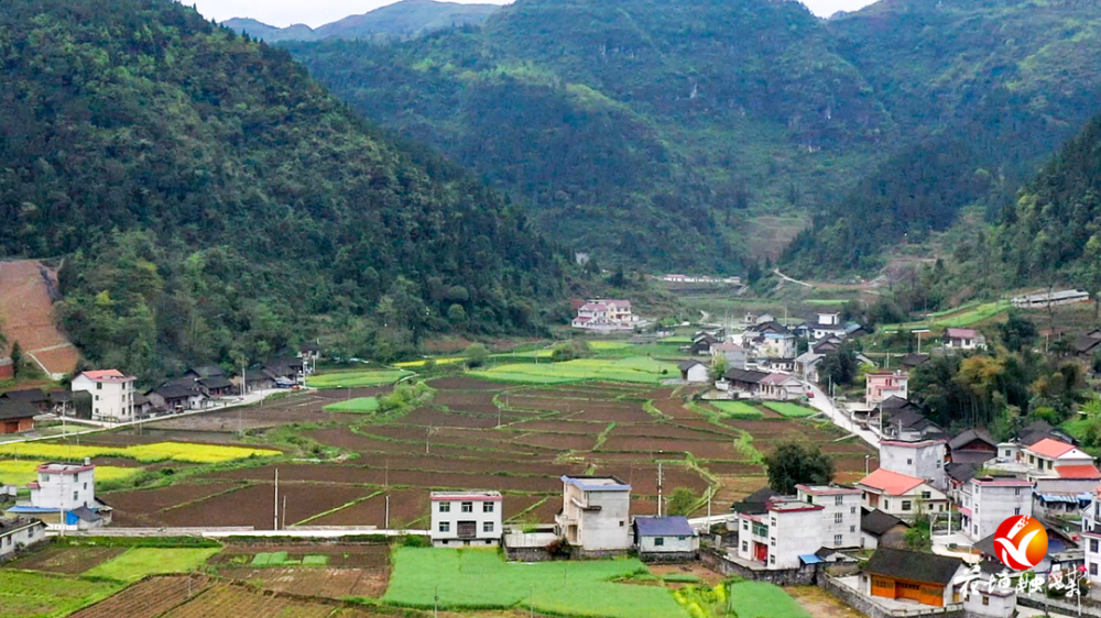 龙潭镇土地村:矿村变牛村 "犇"出致富幸福路