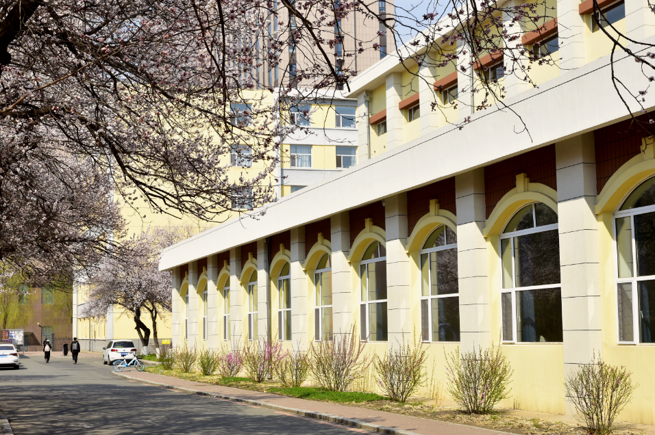 吉林大学第九届杏花文化节暨长春大学生春日踏青季精彩启幕