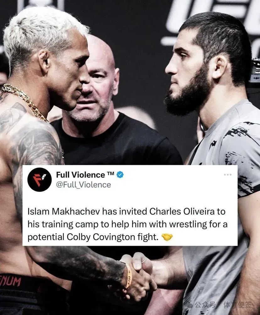 托尼·弗格森和尼克·迪亚兹将重返八角笼