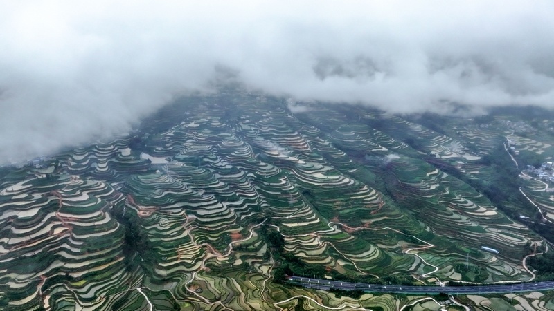 罗甸:云上梯田美如画