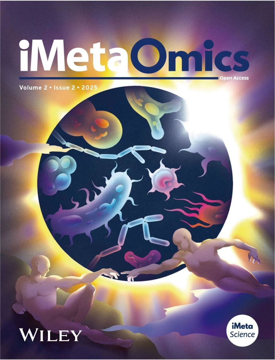 透化治疗什么iMeta ｜ 中国药科大学顾丰组-解析黄葵治疗糖尿病肾病机制_https://www.jmylbn.com_新闻资讯_第33张