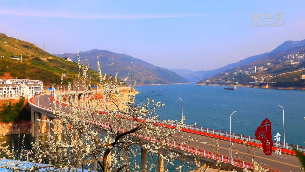 千城百县看中国|湖北巴东:峡江春光媚