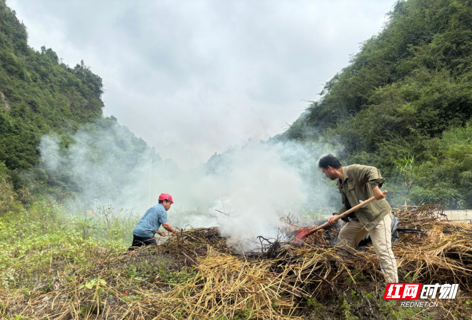 张家界永定区沙堤街道图片