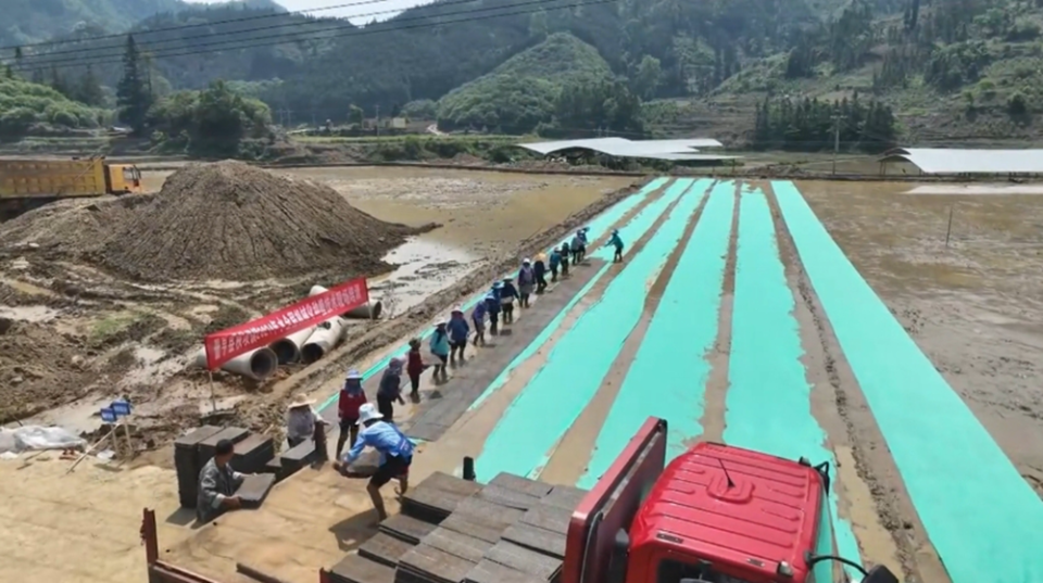 在秧坝镇昂涛村全程机械化水稻种植基地,村民们在农技人员的指导下,正