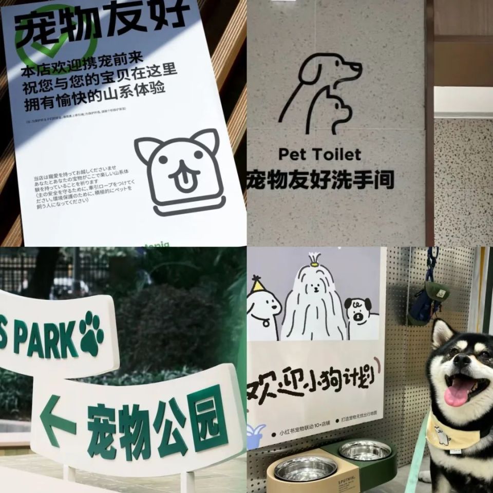 从高铁宠物问卷到树的讣告:在"非人之物"中观照"人之为人"