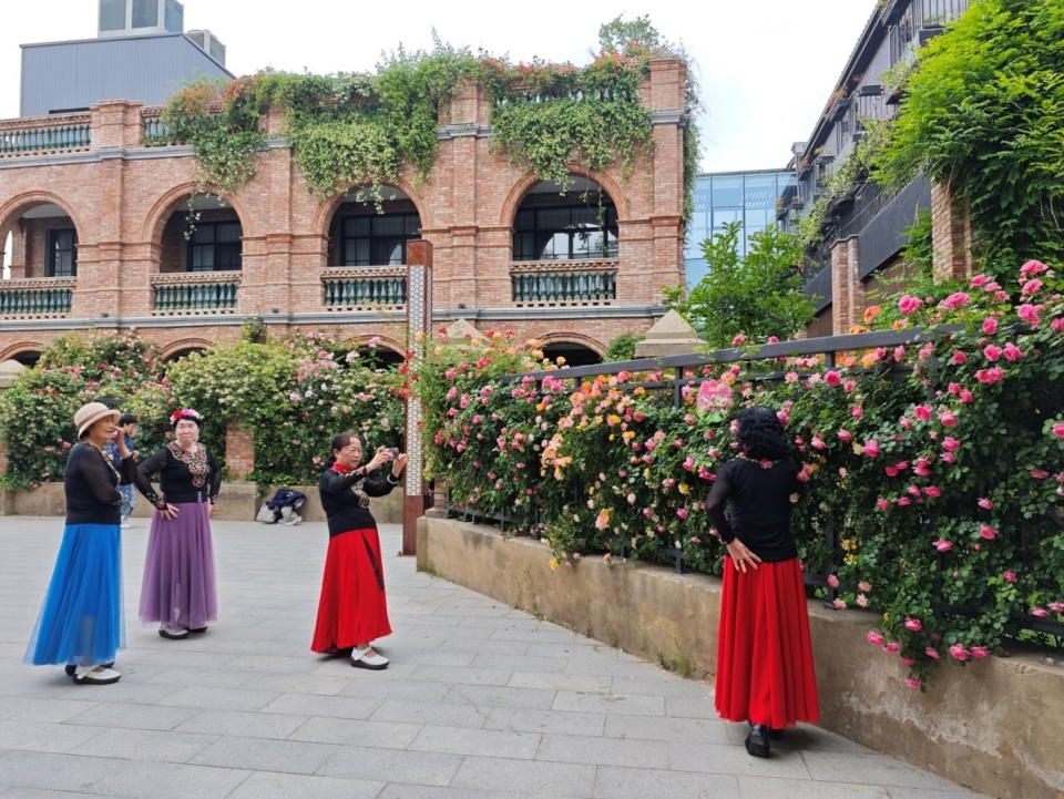 河南洛阳:"北国花城"建设初见成效