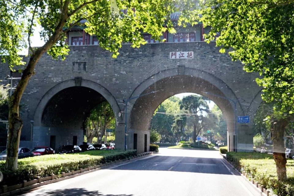 南大文学课｜鲁迅不仅有两株“枣树”，还有丁香和广玉兰_腾讯新闻