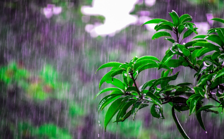 雨水高清图片大全大图图片