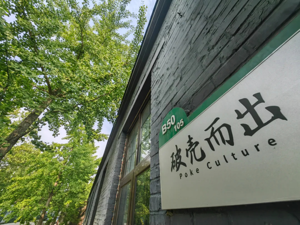 《万万没想到》导演再次入局千亿短剧市场:想在遍地"