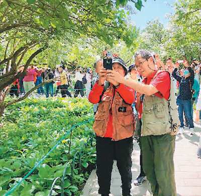 董志达摄老年学员在北京市东城老年大学的教室里上课.