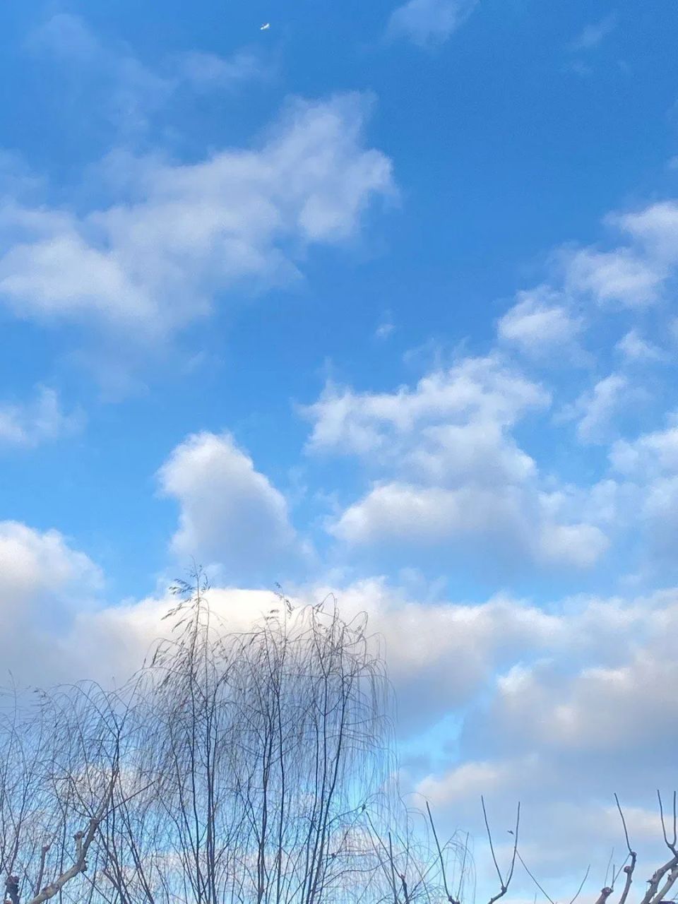 明天阳光和煦,最高温19度!周四阴雨天气重启,下周甚至有雨夹雪