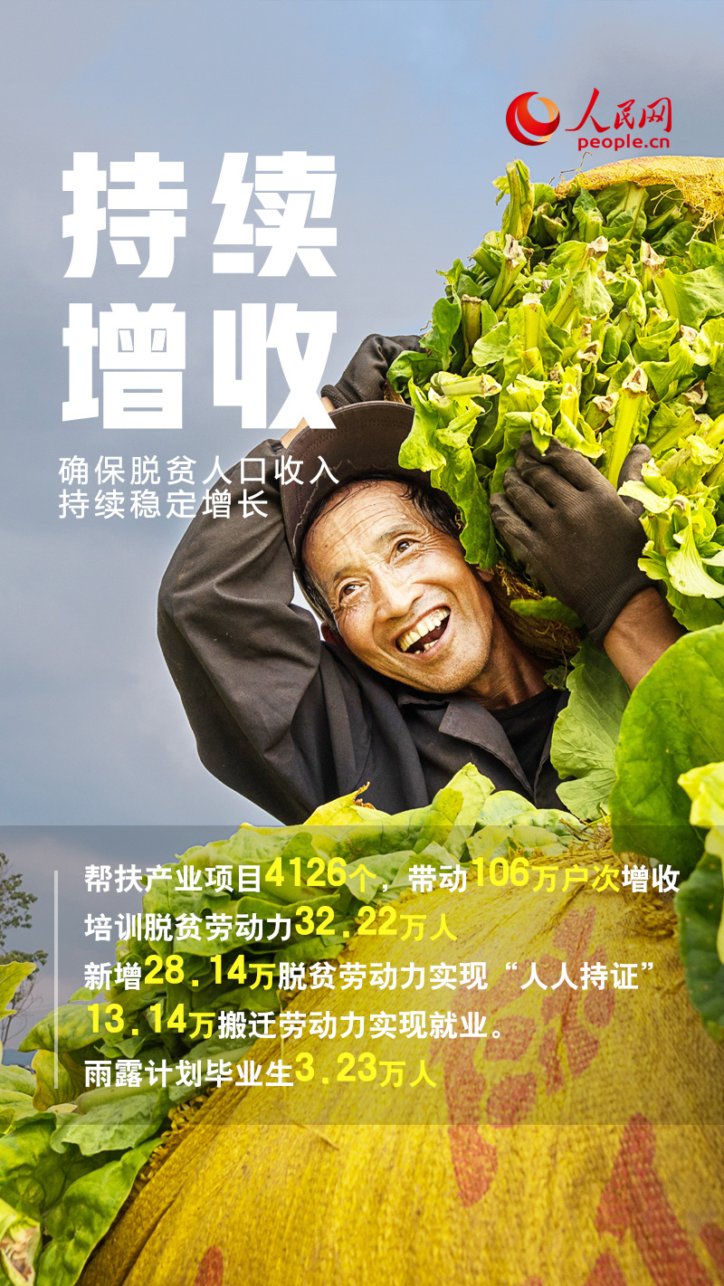 数说河南巩固拓展脱贫攻坚成果这一年