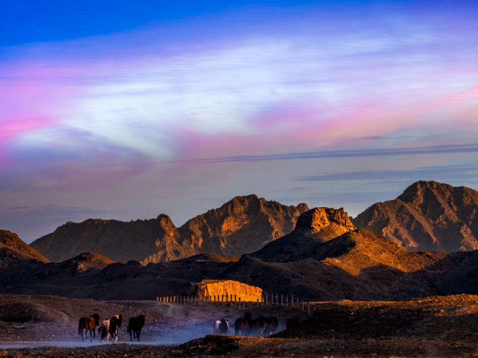 宁夏回族自治区自然人文考察 | 活动报名