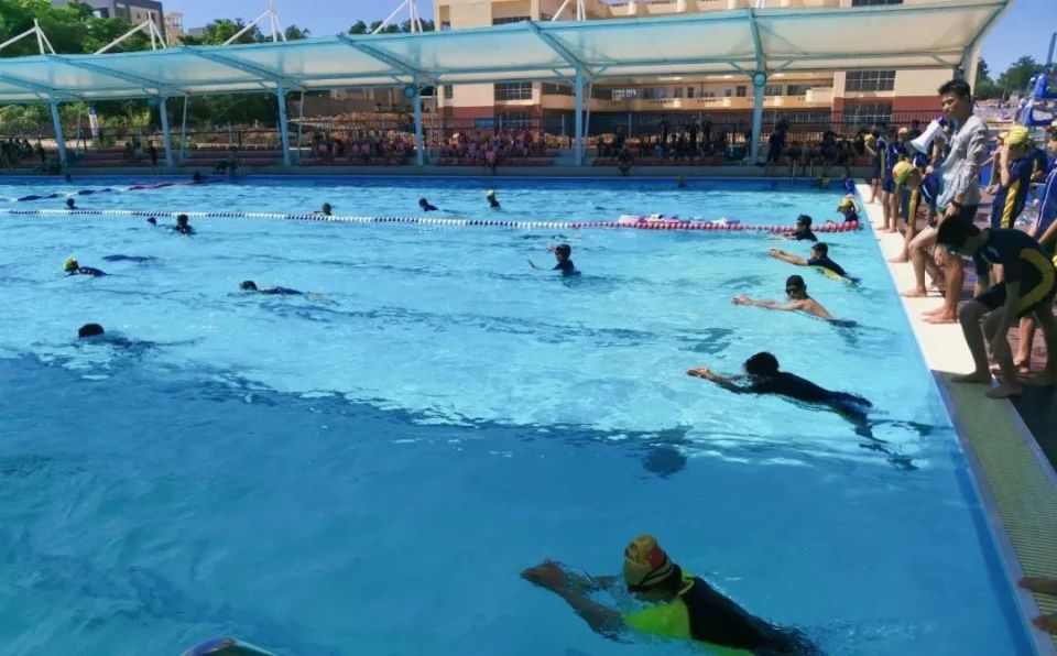 暑假期间,儋州中小学校游泳池,体育场所免费向学生开放!
