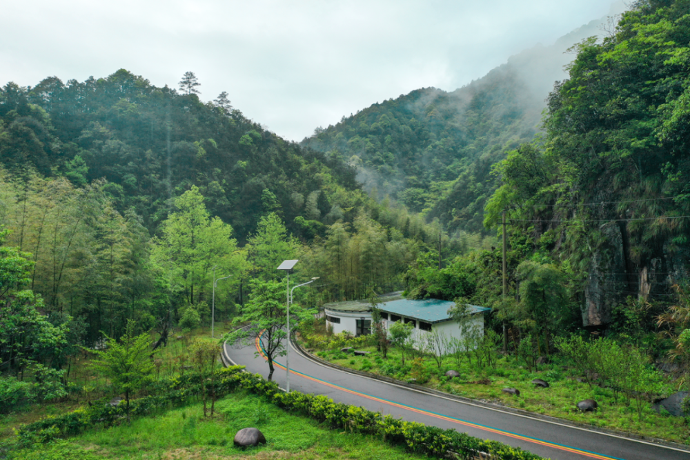 江西上饶五府山畲族三月三,有龙有凤,比广西还热闹_腾讯新闻