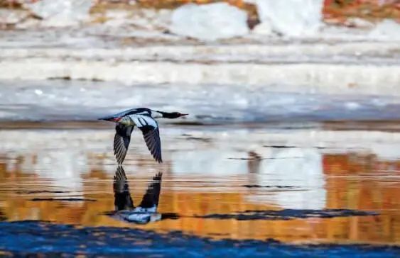 深耕市场高质量发展,助推文旅赛道加速度(二)