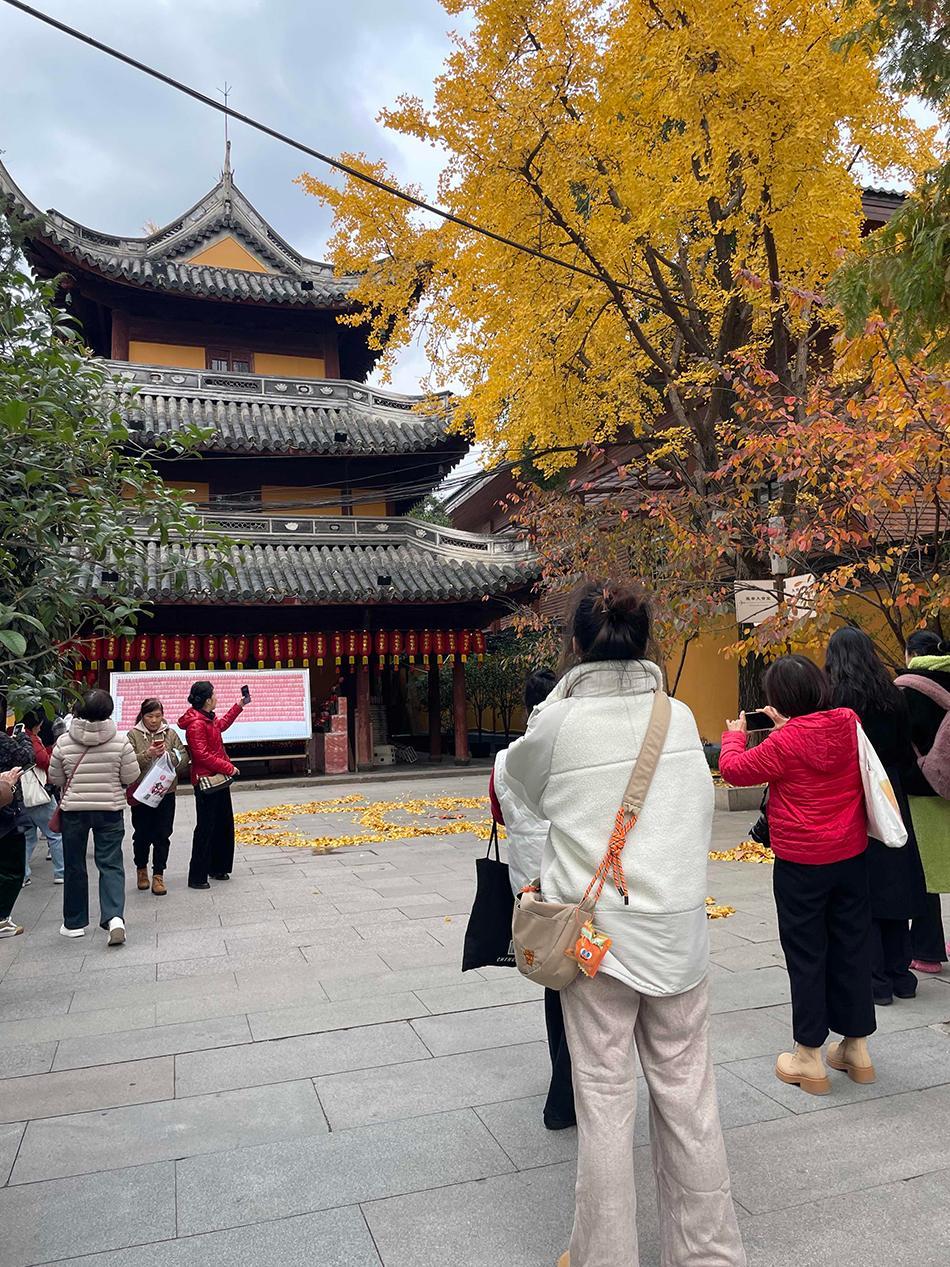 上海龙华寺“银杏猫咪”走红，“扫地僧”摆出造型各异落叶堆