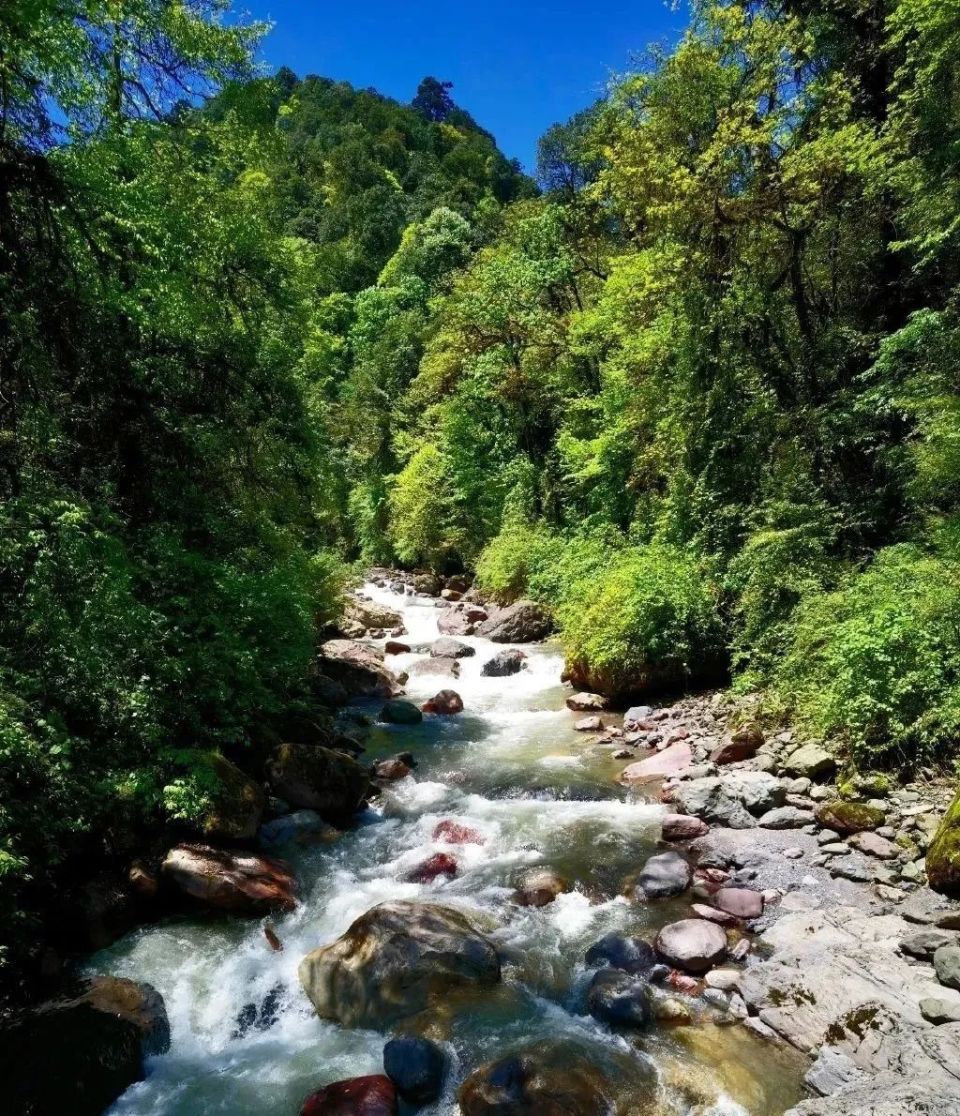 五个超绝清凉风景区!一起寻觅充满生命力的原始美!