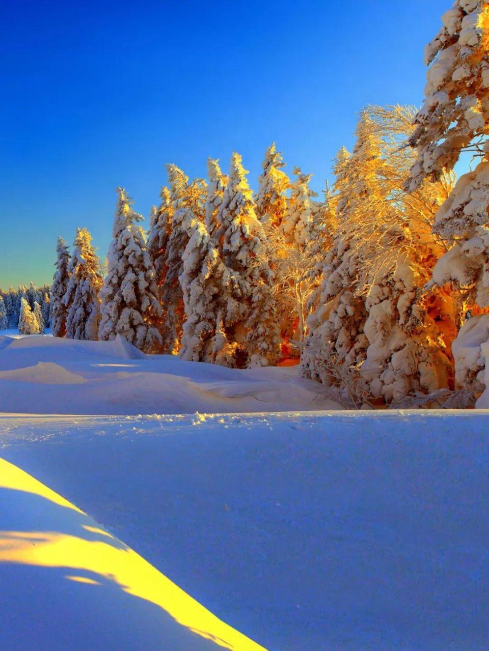 小雪景图片大全唯美图片