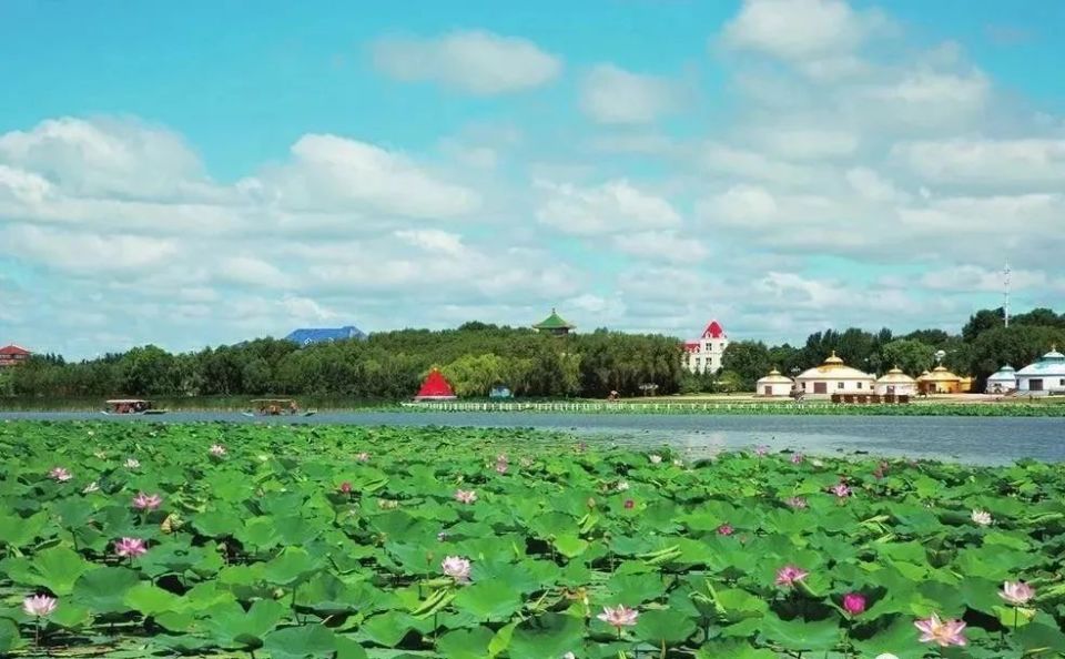 查干湖夏日游火爆 八方游客纷至沓来